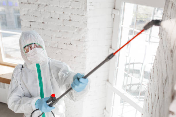 Santa Ana Pueblo, NM Mold Removal Company
