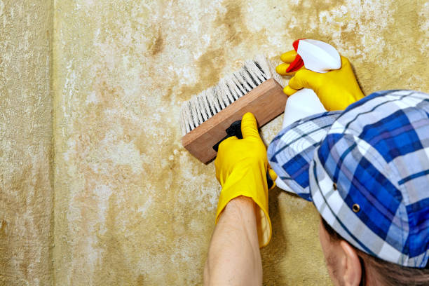 Best Dehumidification Services  in Santa Ana Pueblo, NM