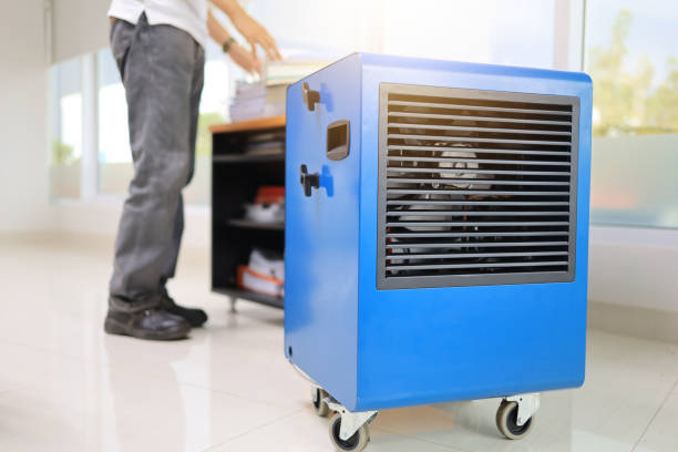Best Industrial Mold Remediation  in Santa Ana Pueblo, NM