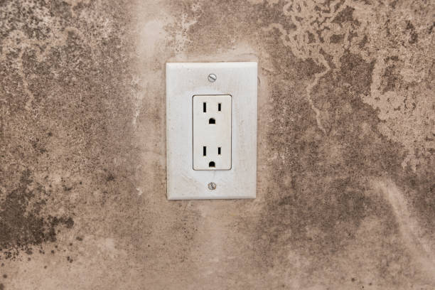 Best Real Estate Mold Inspection  in Santa Ana Pueblo, NM